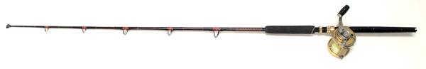 Penn 50SW International II Reel & Custom Deep Sea Fishing Rod.jpg