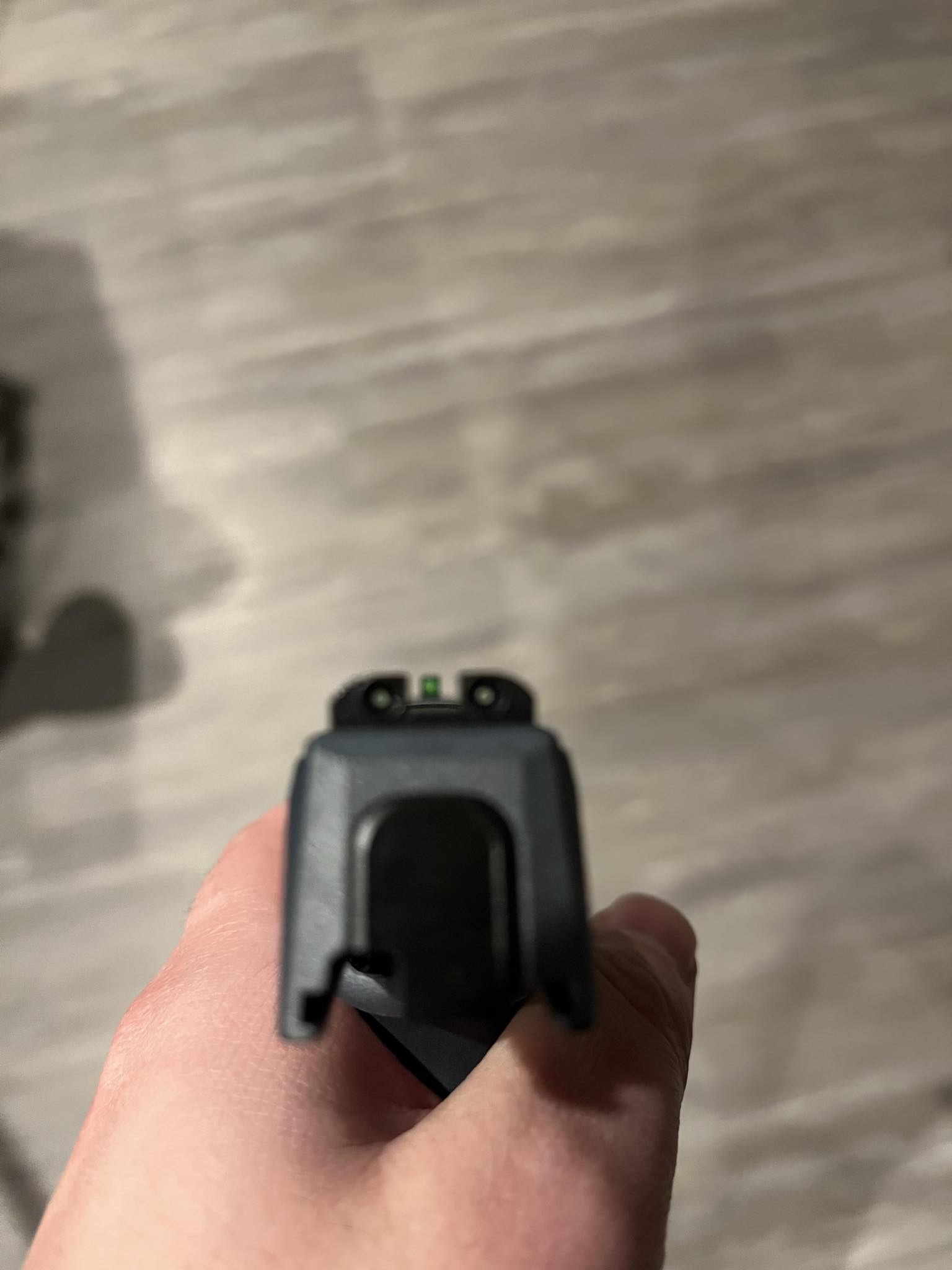 SIG 365 X NIGHT SIGHTS.jpg