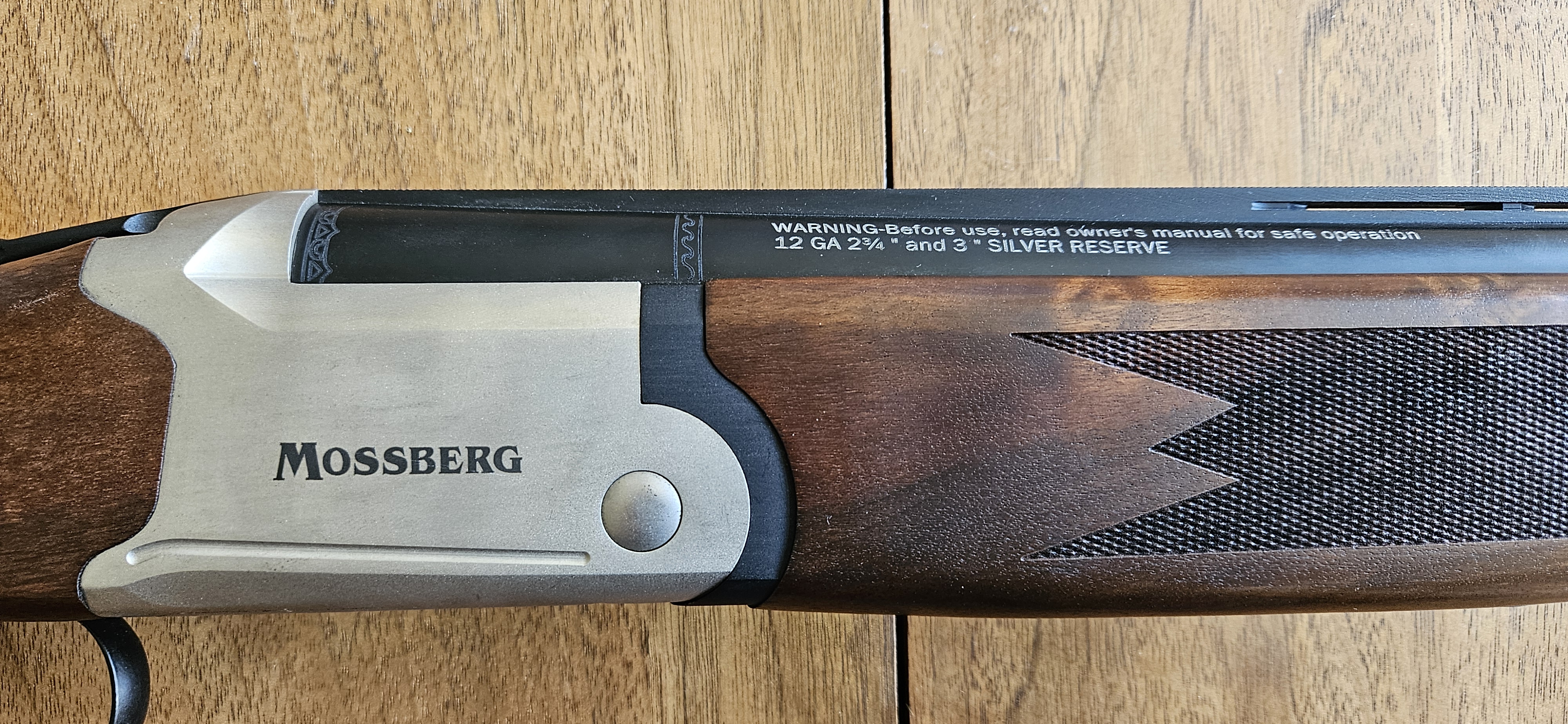 20250325_141405.jpg