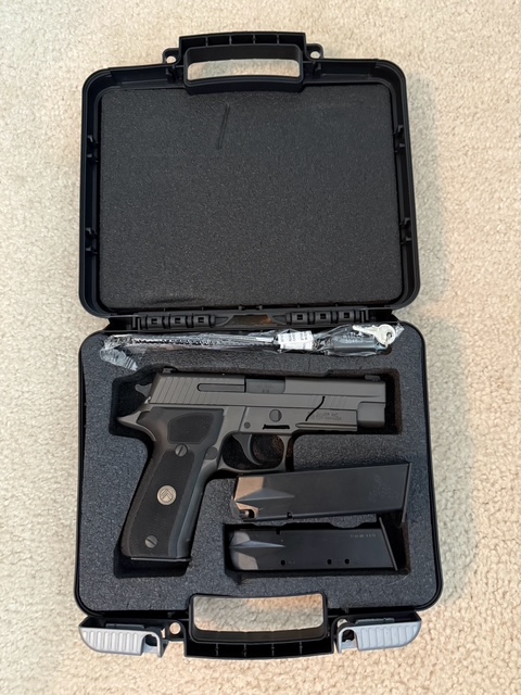 P226R.jpg