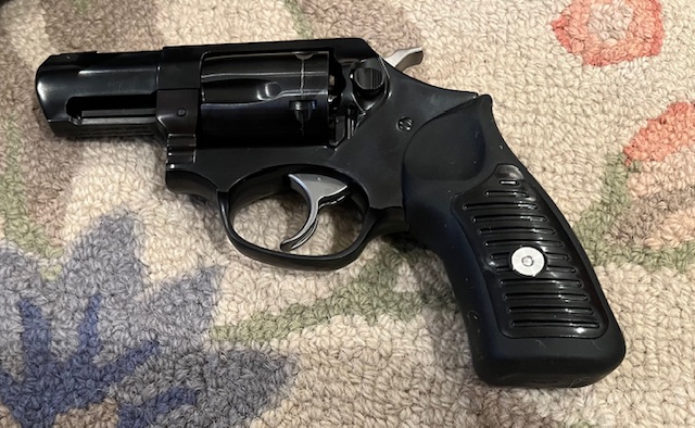 ruger4.jpg