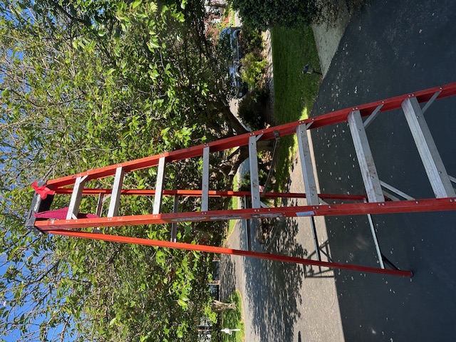 ladder.JPG