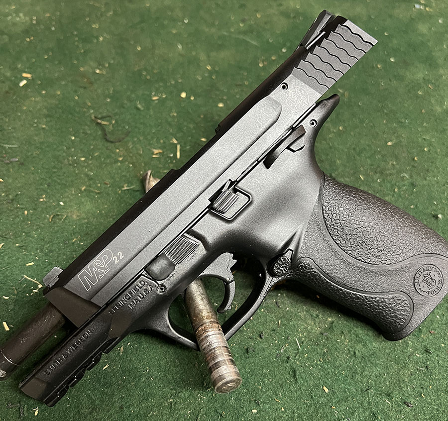MP_2.jpg