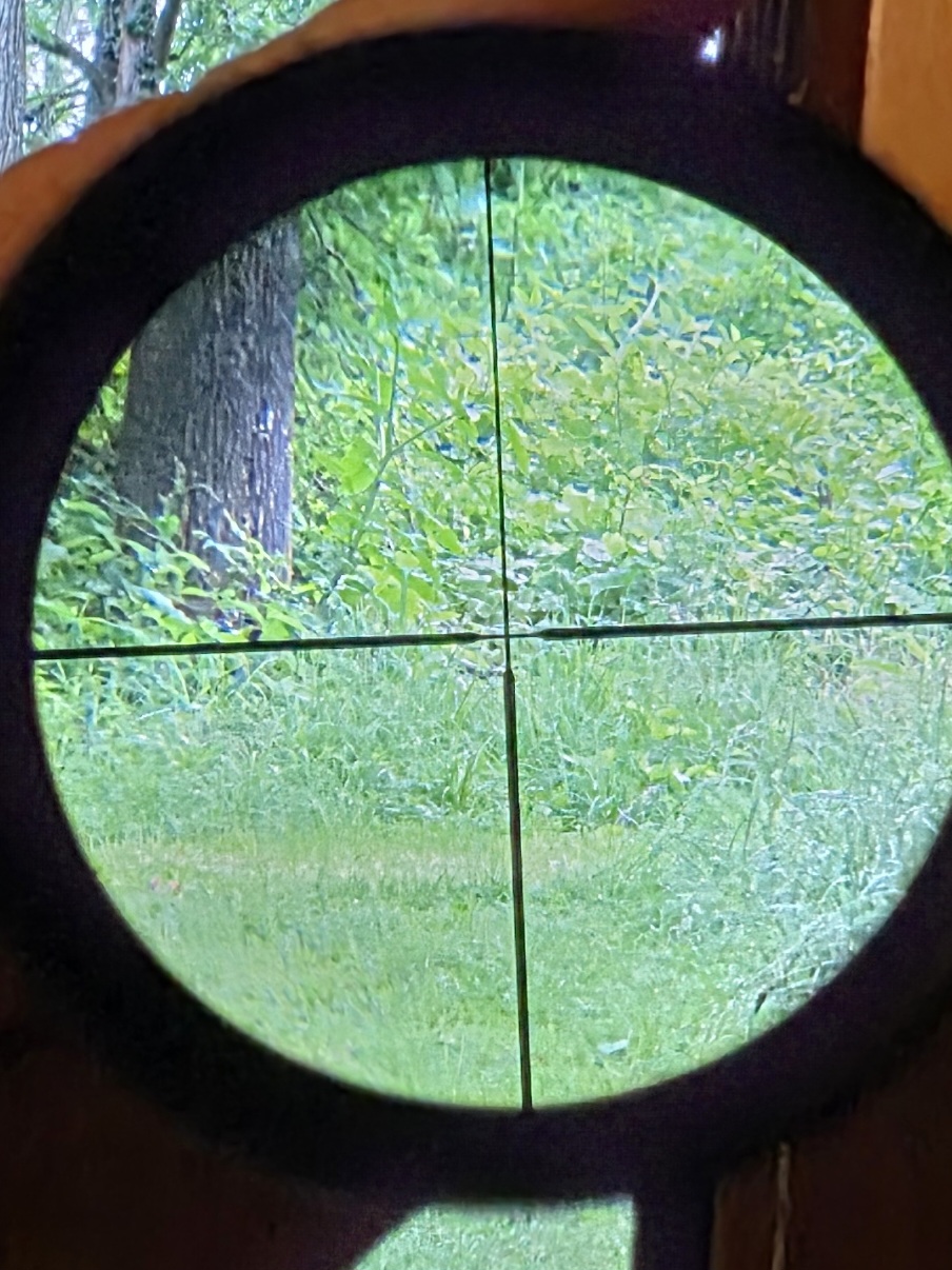 20250616_181932.jpg