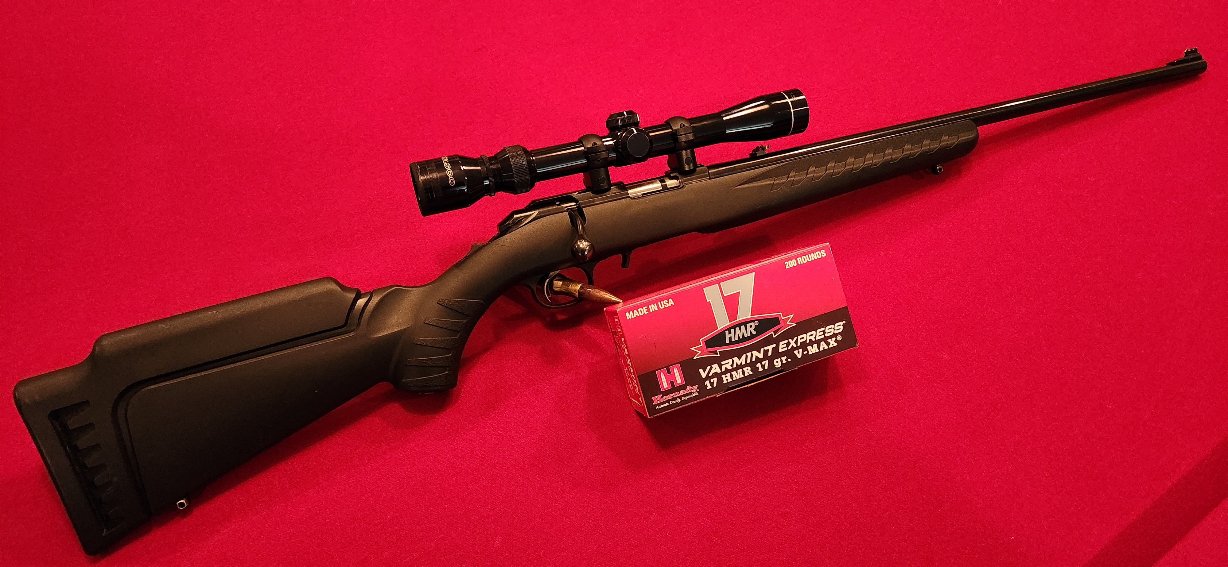 Ruger 17hmr.jpg