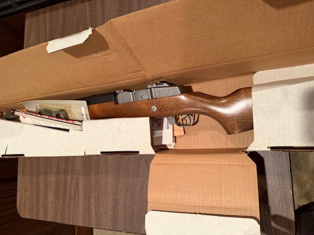 Ruger Mini 14 II SST.jpg