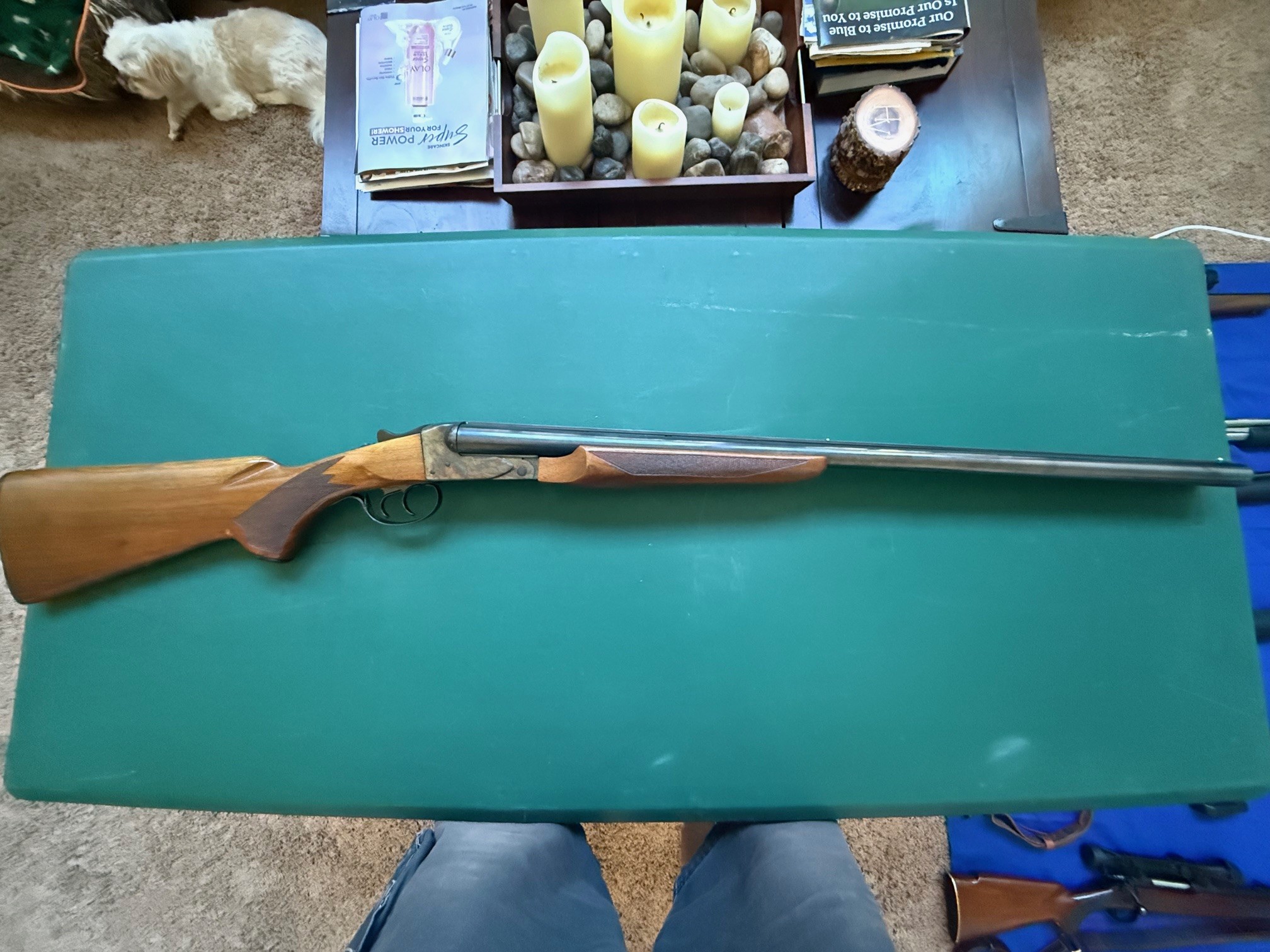 Fox Savage Model B-H.jpg