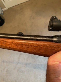 Savage 340-1.jpg