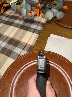 Sig_P365_3 Small.png