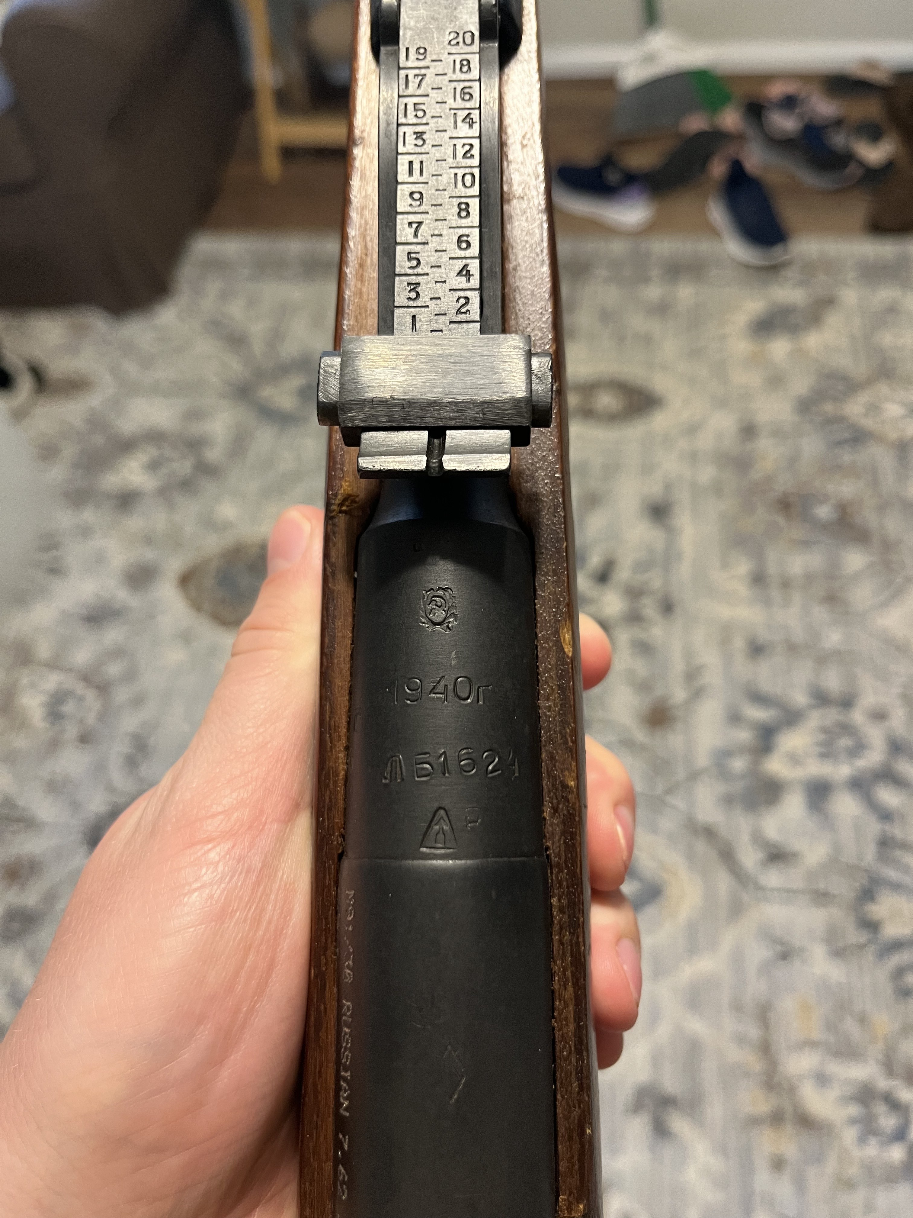 Mosin 1.jpg
