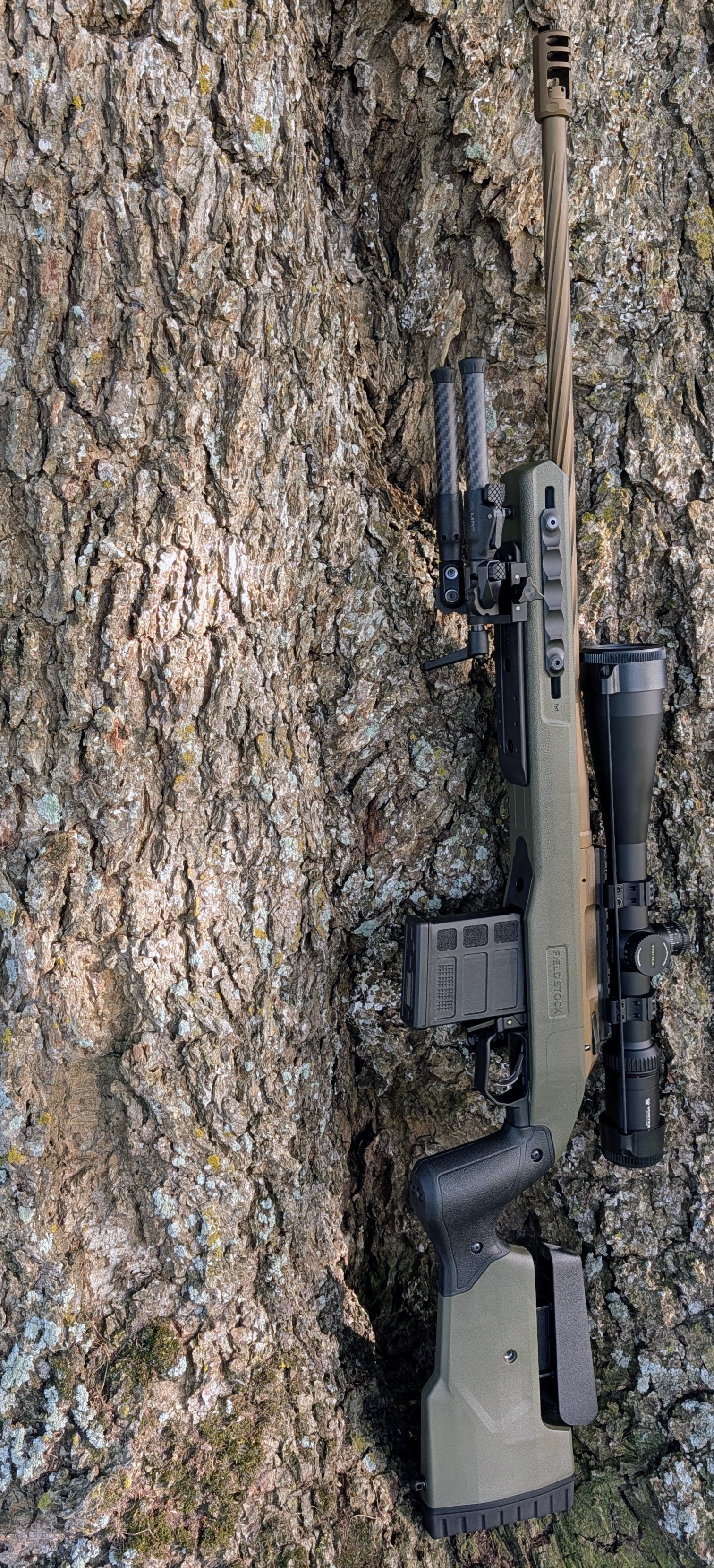 PXL_20251025_203857951~2.jpg PXL_20251025_203857951~2.jpg