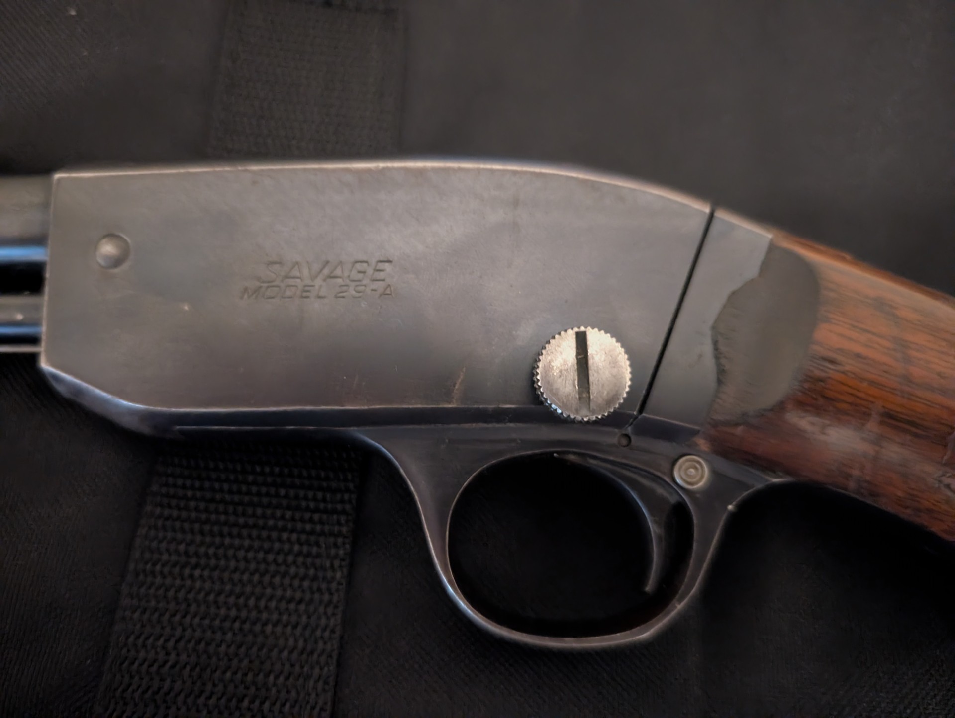 savage 22 2.jpg