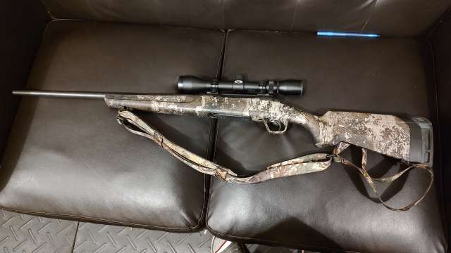 IMG_20251124_231111436.jpg IMG_20251124_231111436.jpg