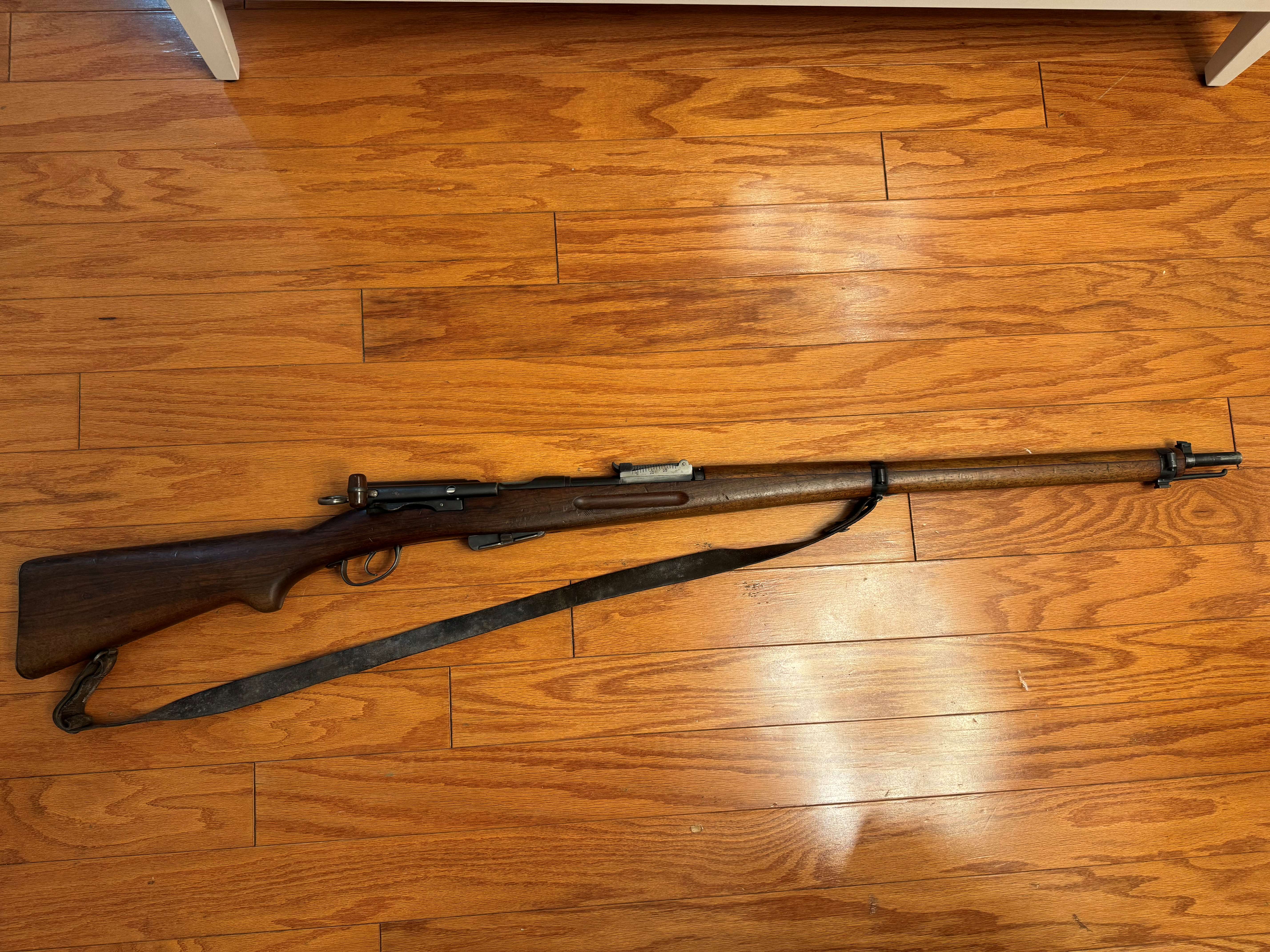 Schmidt and Rubin 1.jpg