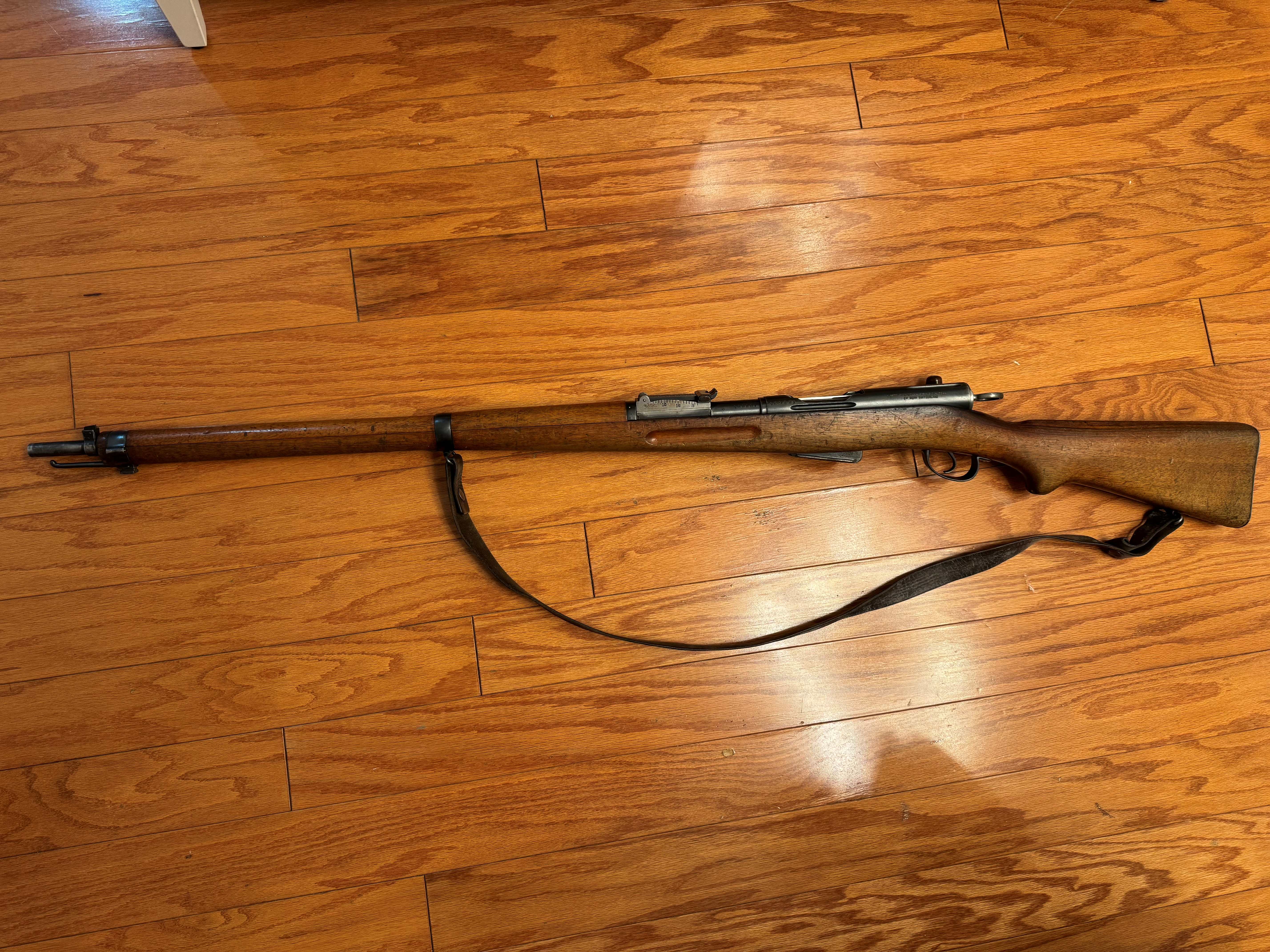 Schmidt and Rubin 2.jpg