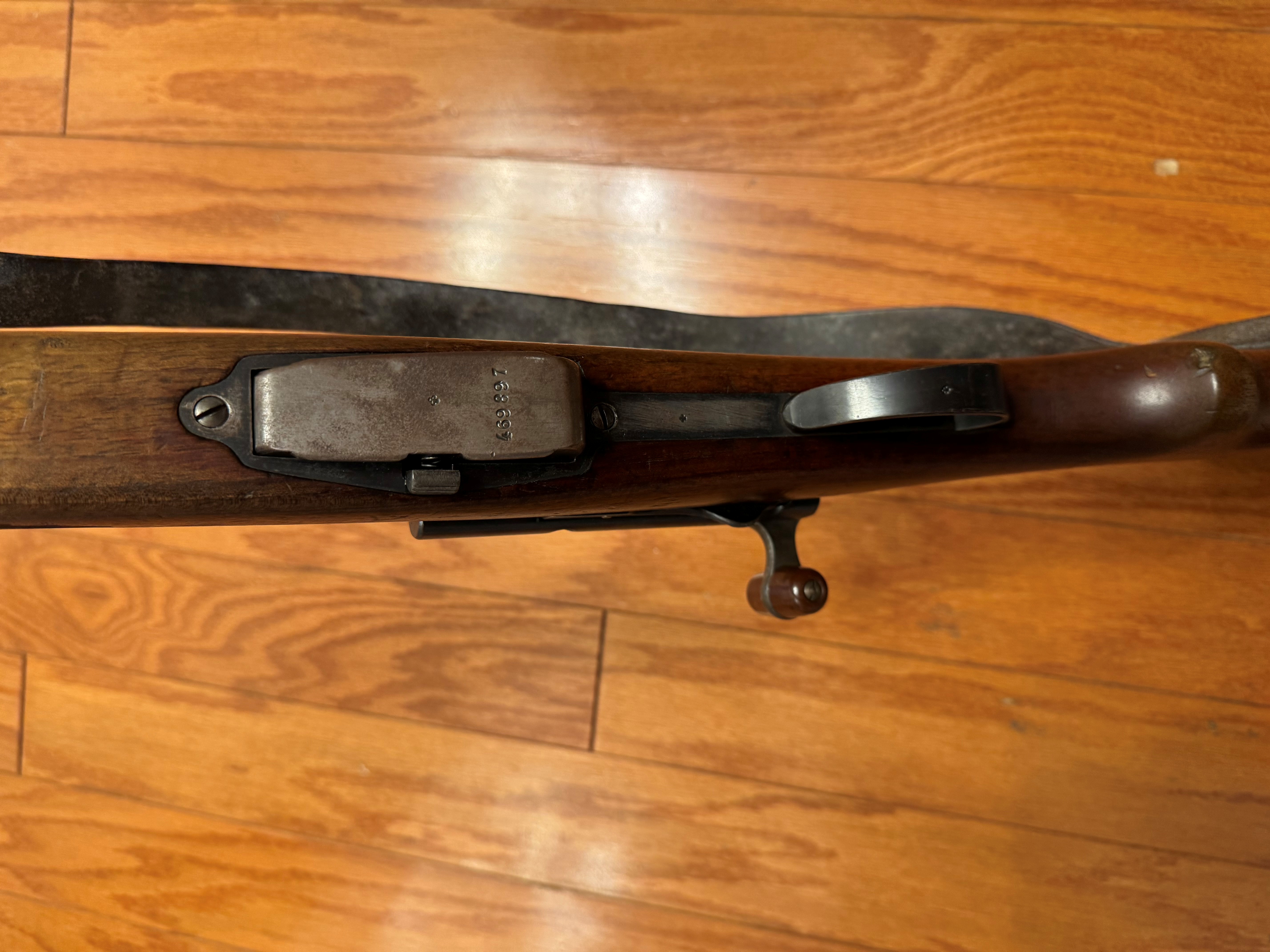 Schmidt and Rubin 3.jpg