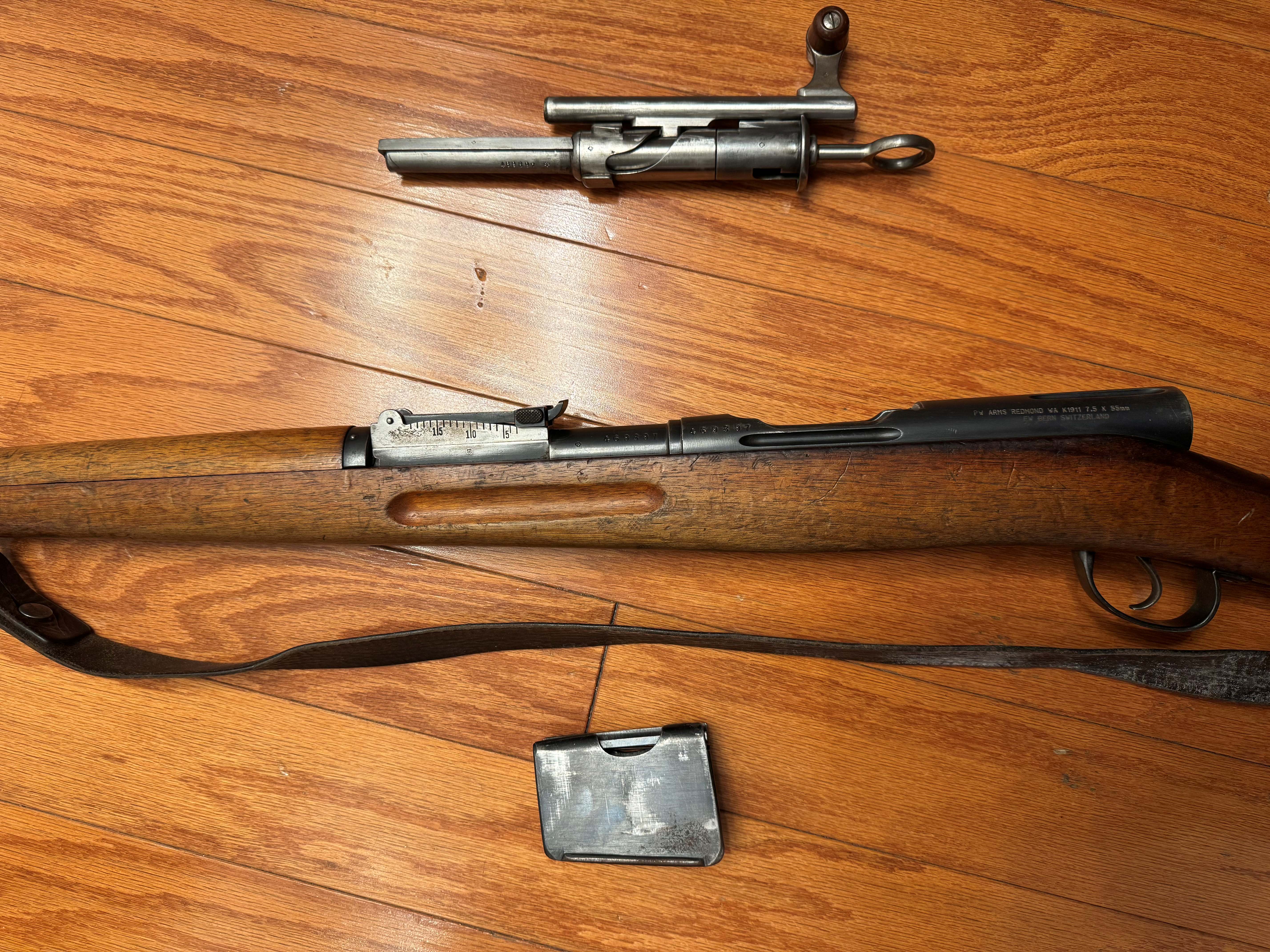 Schmidt and Rubin 5.jpg