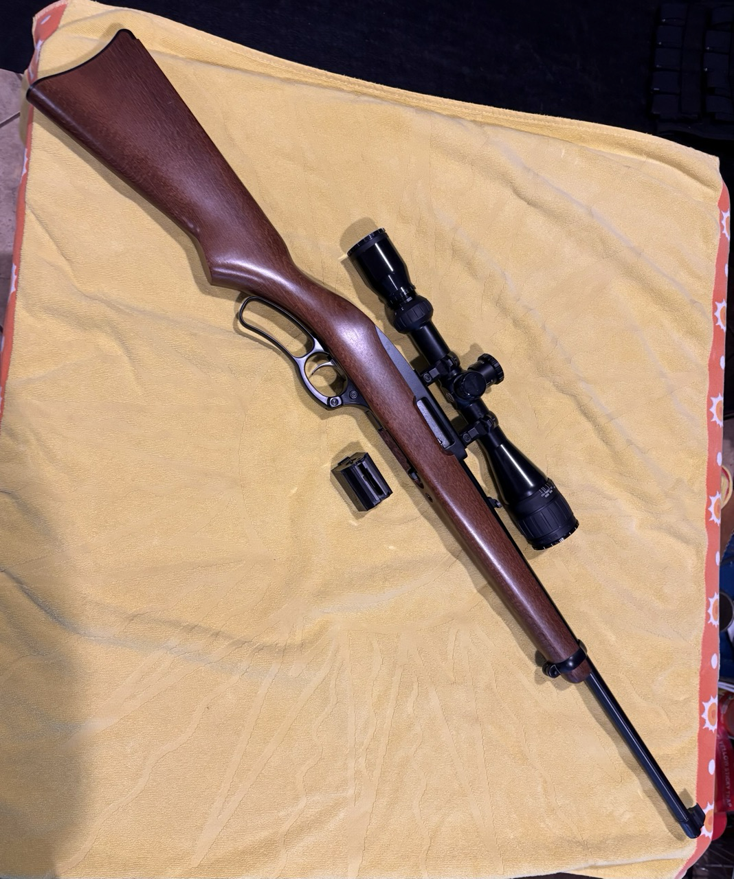 IMG_5646 Large Large.png