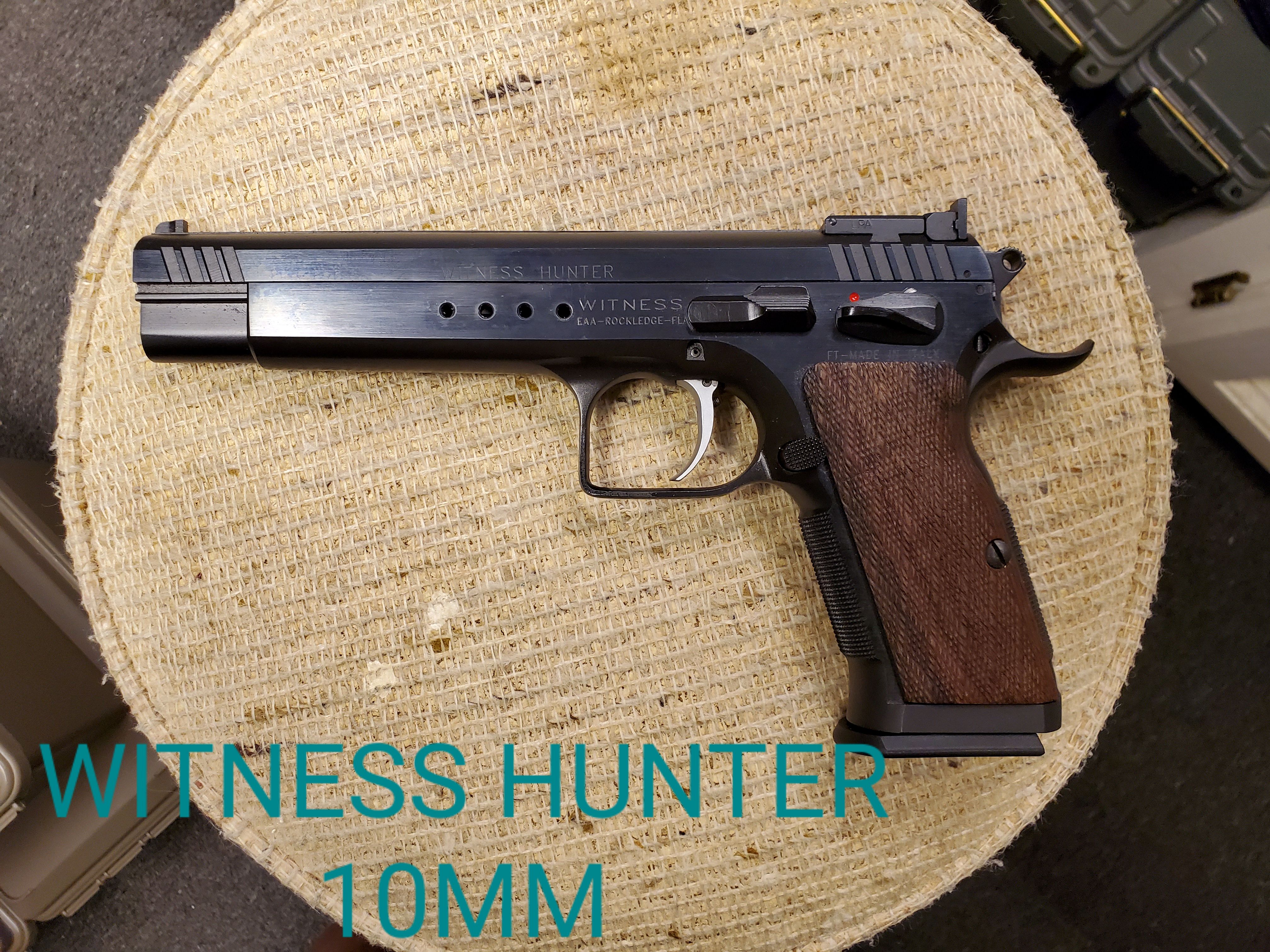 EAA Witness Hunter 10MM.jpg
