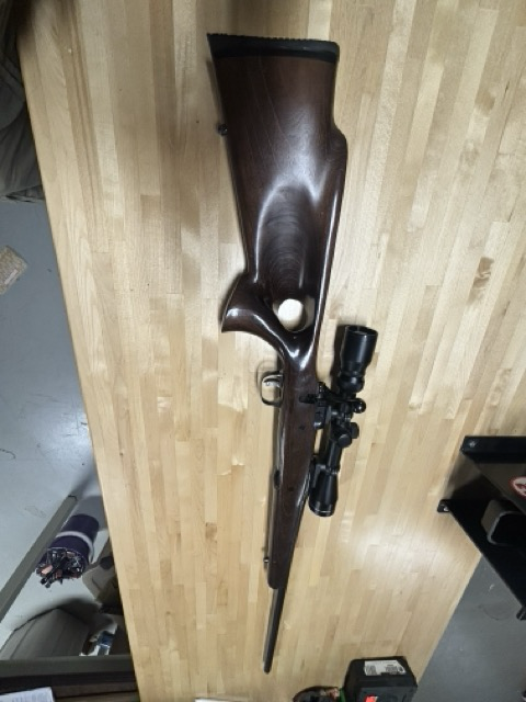 IMG_1504 Medium Medium 2.png