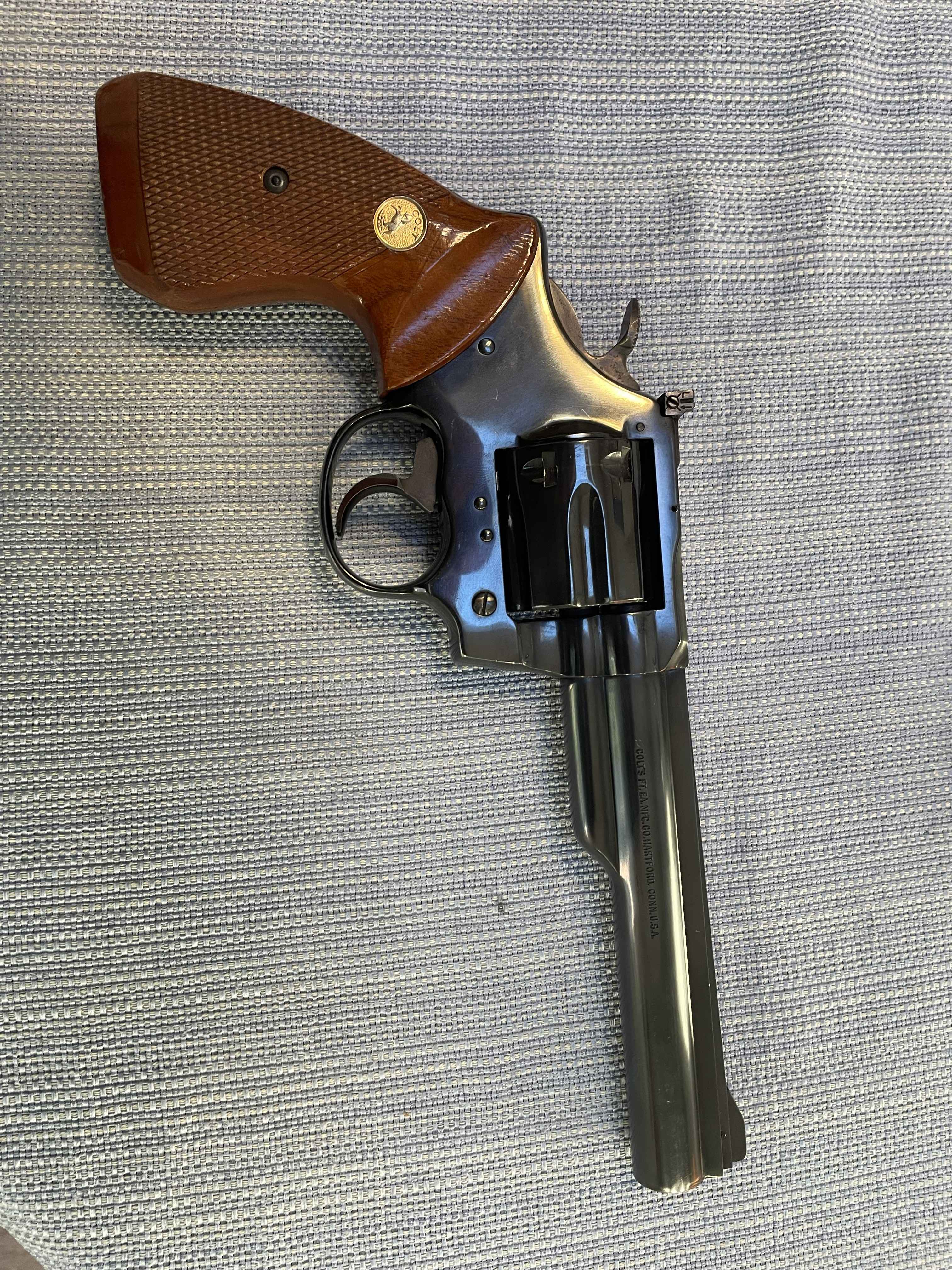 colt small2.jpg