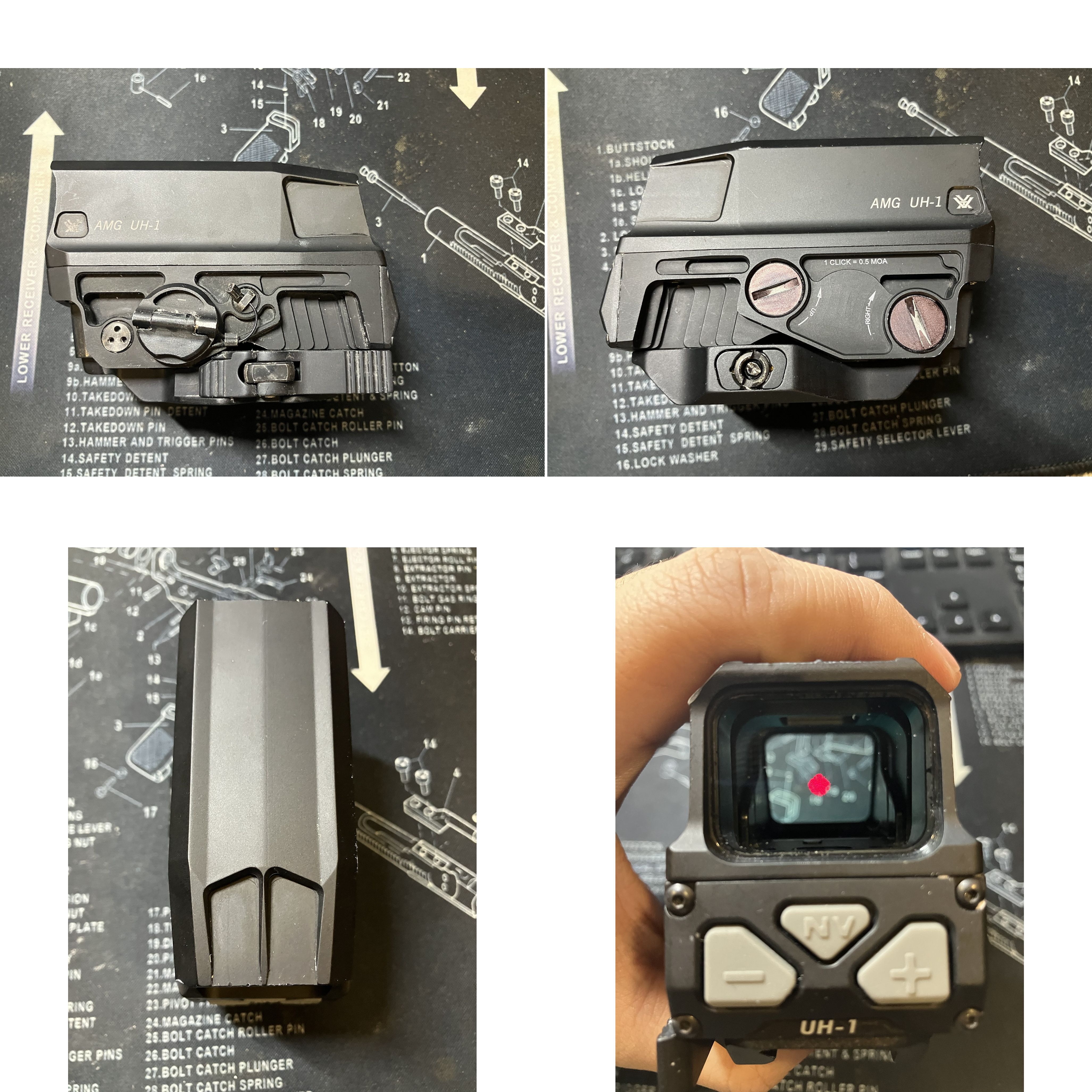 merged-4-images (1).jpg