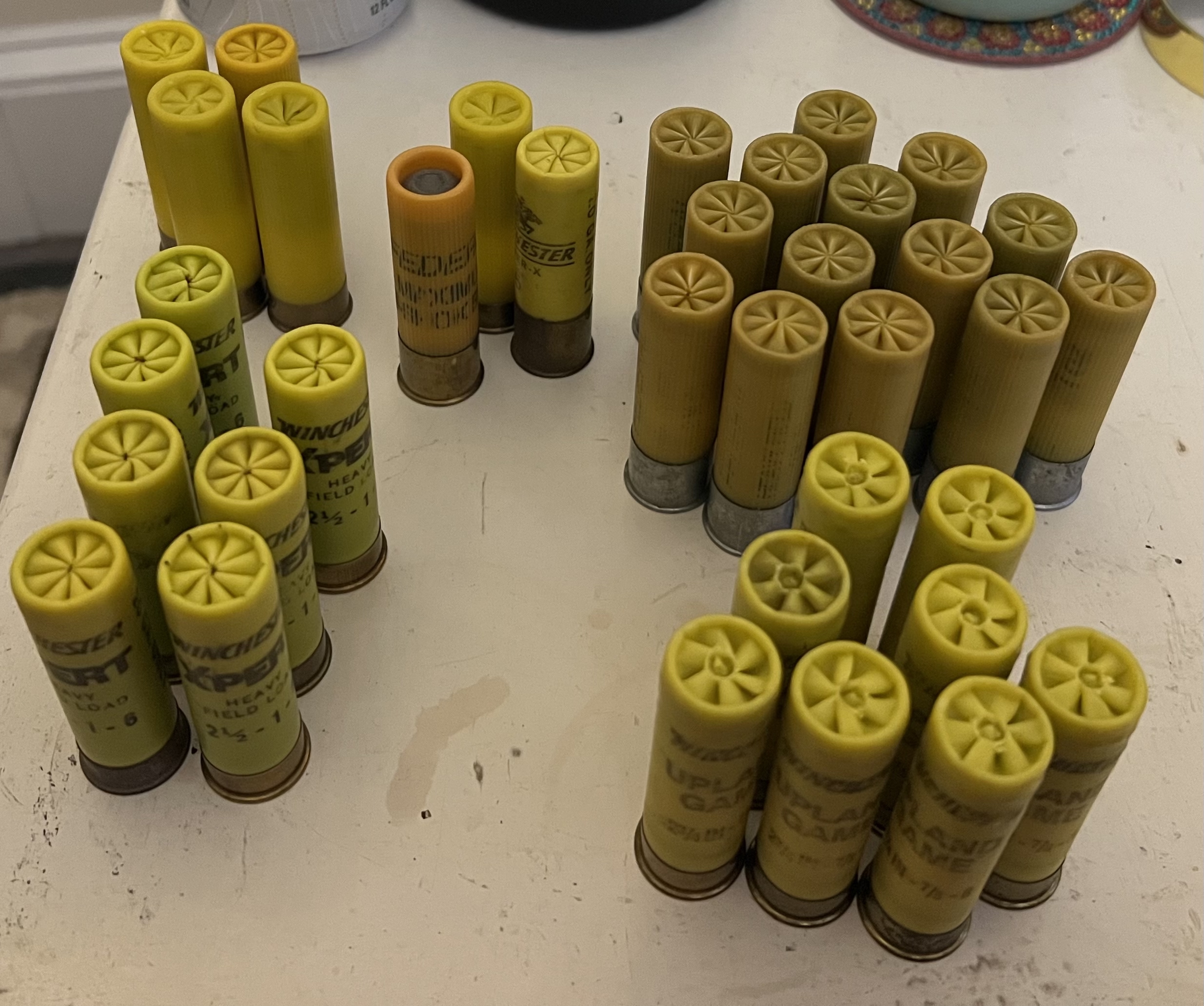 20ga shotshells.jpg