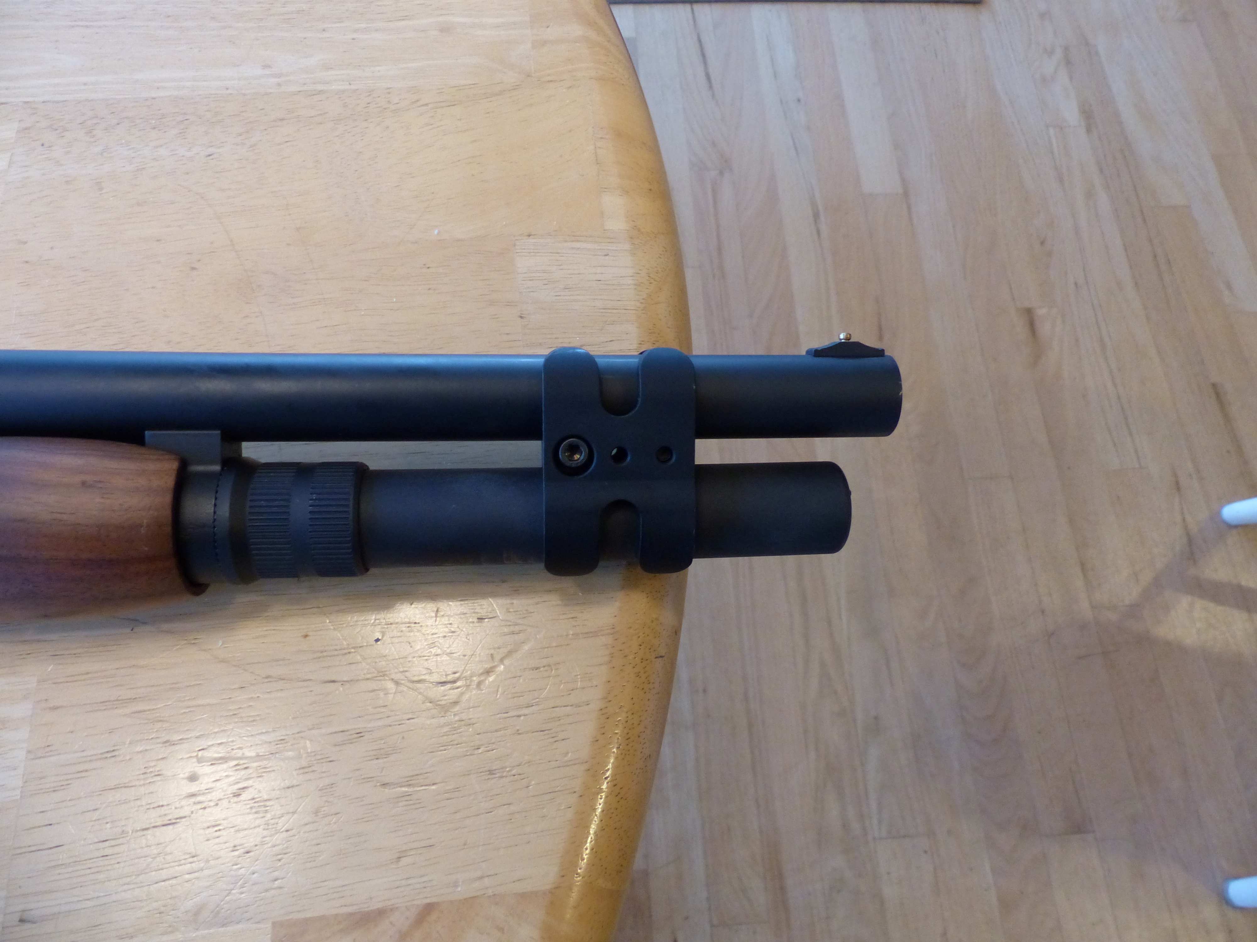 P1100062 resized.jpg