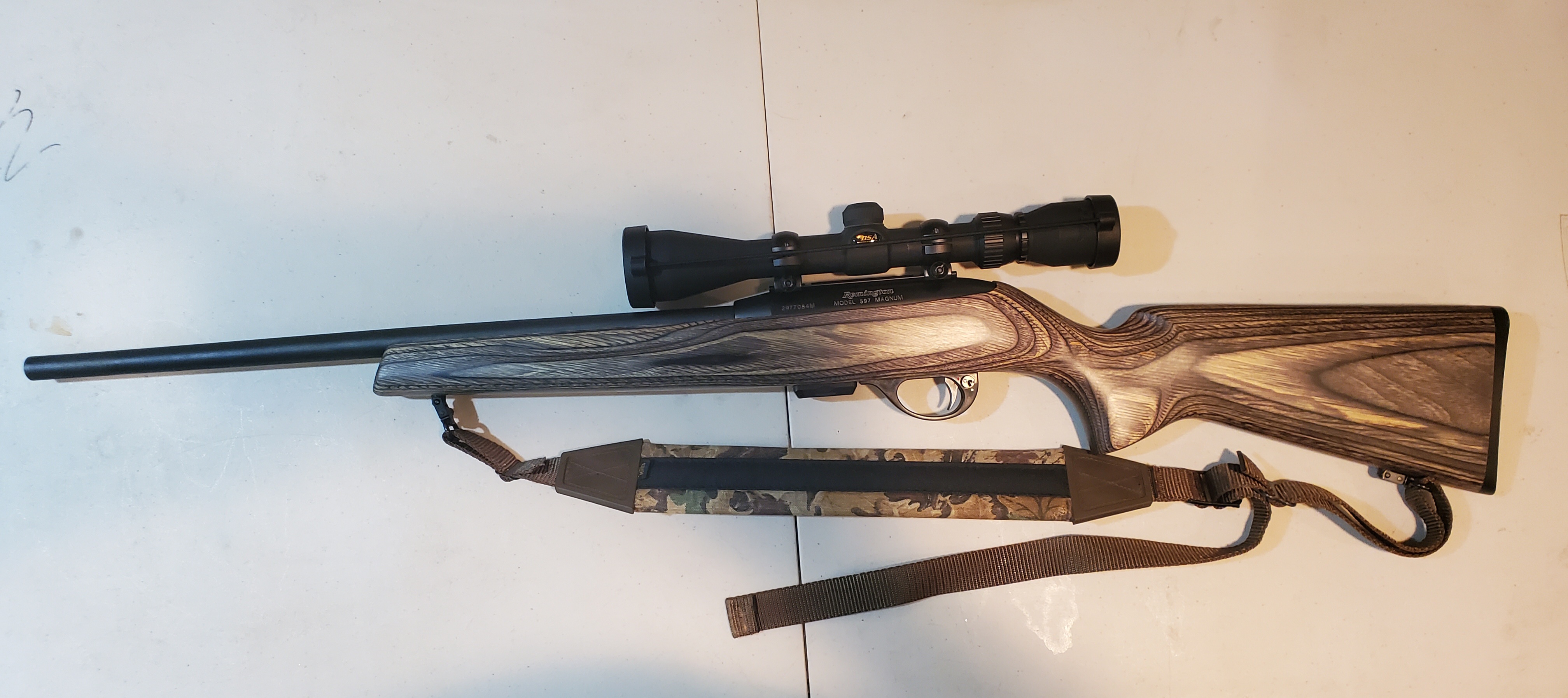 REMINGTON 597 MAGNUM 17HMR   A.jpg