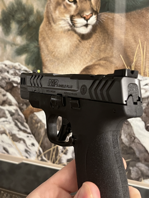 IMG_0429 Medium 2.png