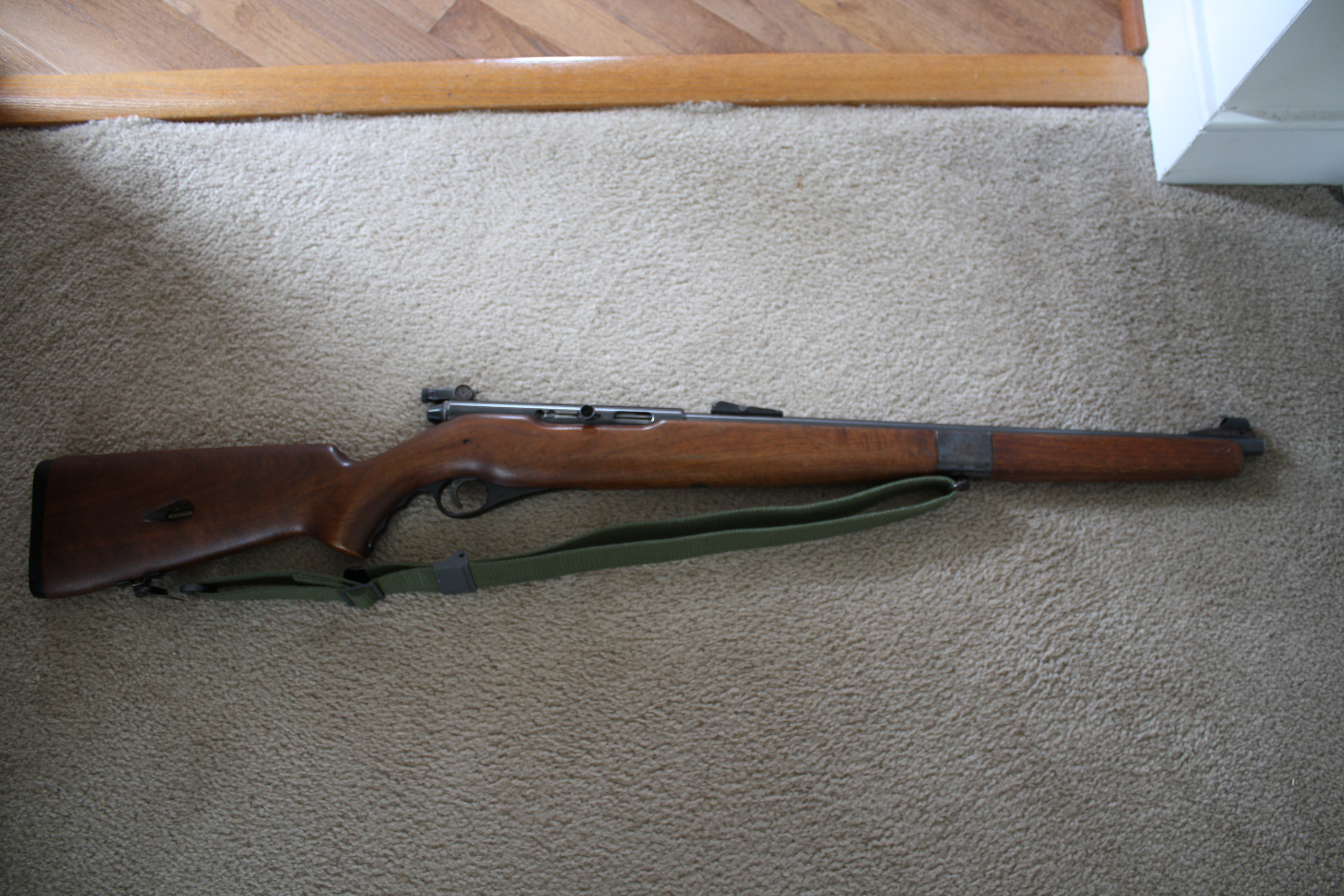 Mossberg 151M B 1.JPG