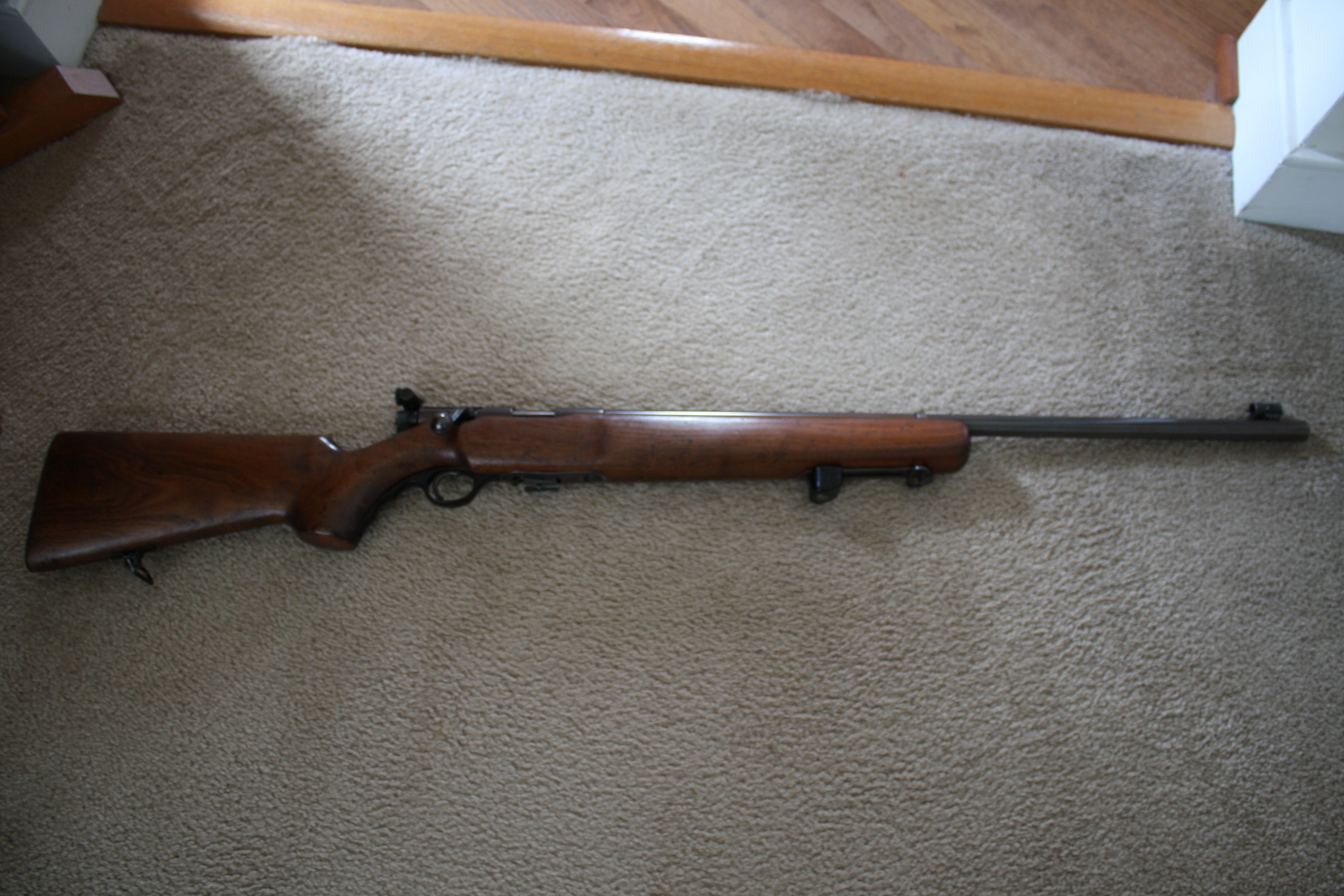 Mossberg 144LS 1.JPG