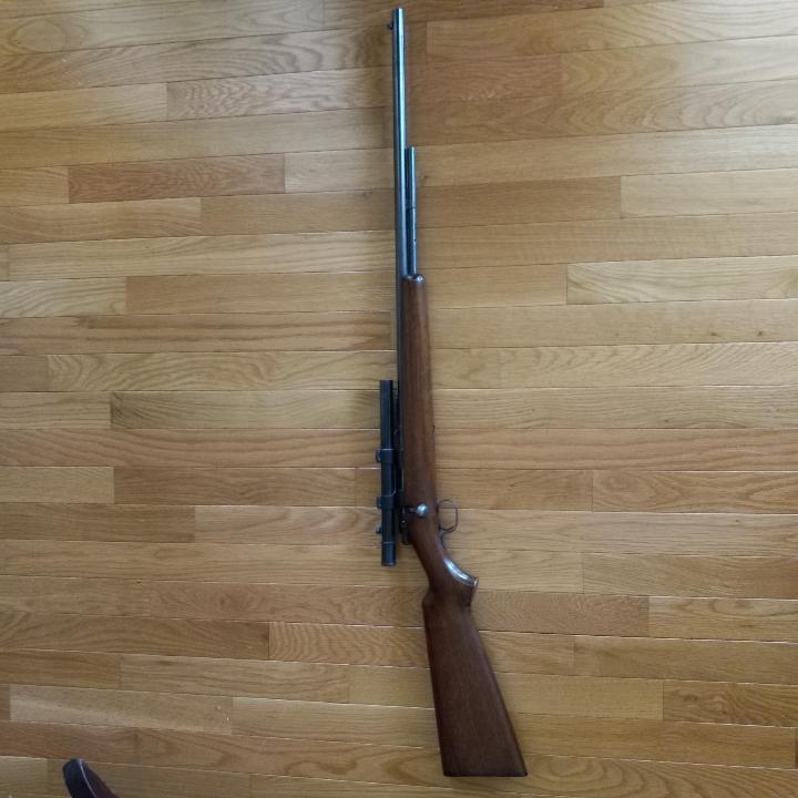 Winchester 22LR 1.JPG