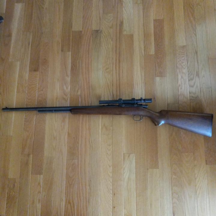 Winchester 22LR 2.JPG