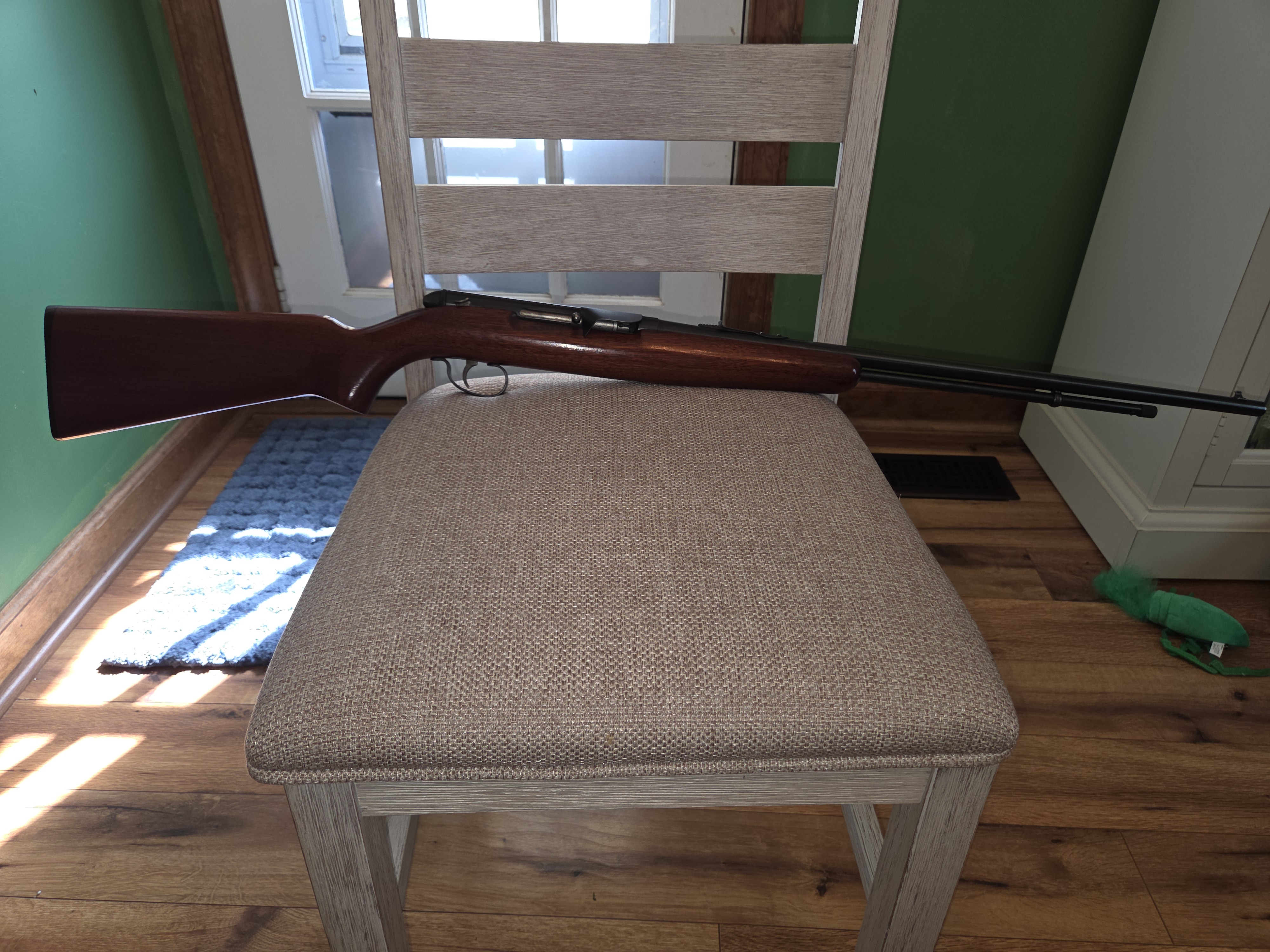 Remington Model 550-1.jpg