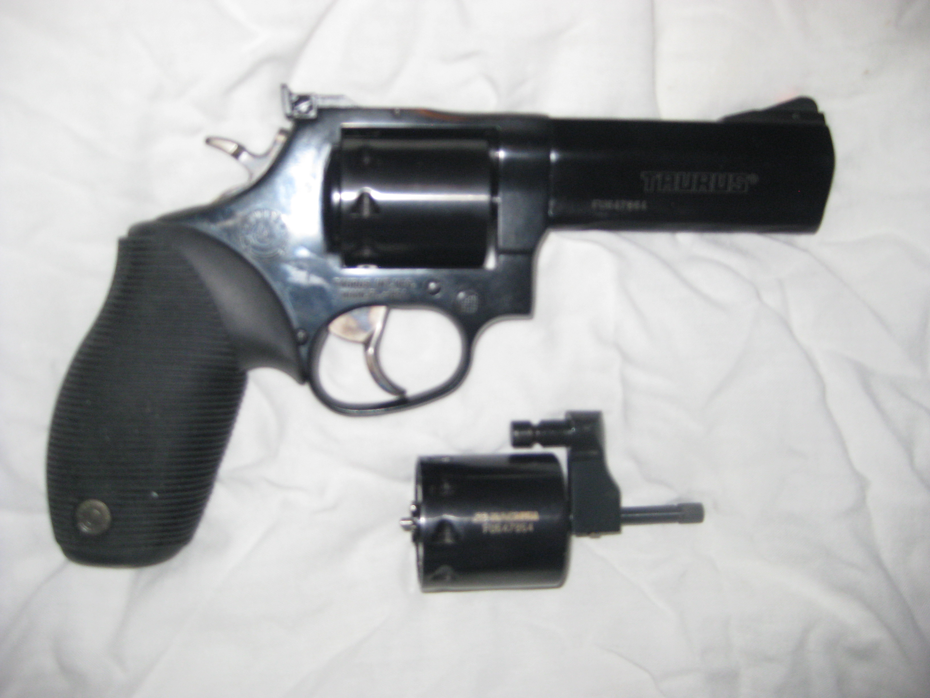 IMG_1231.taurus.JPG