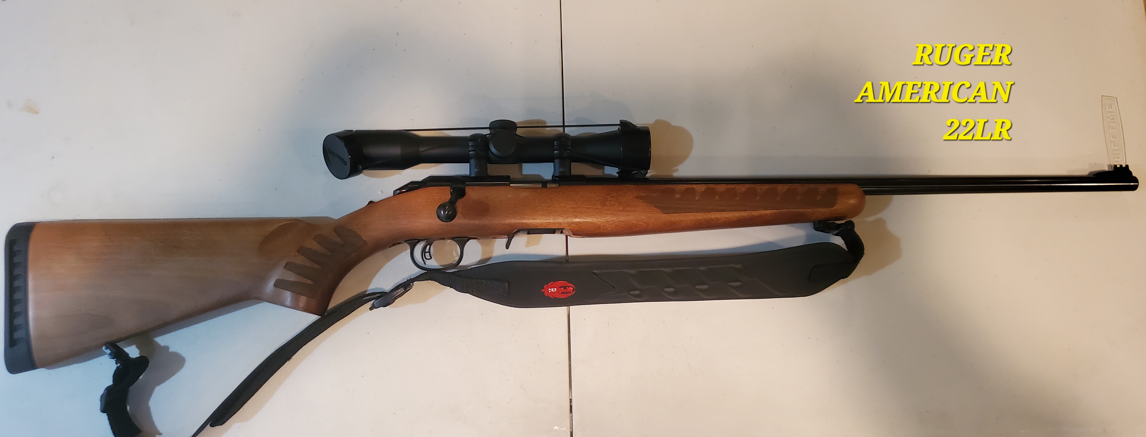 Ruger American 22 B.jpg