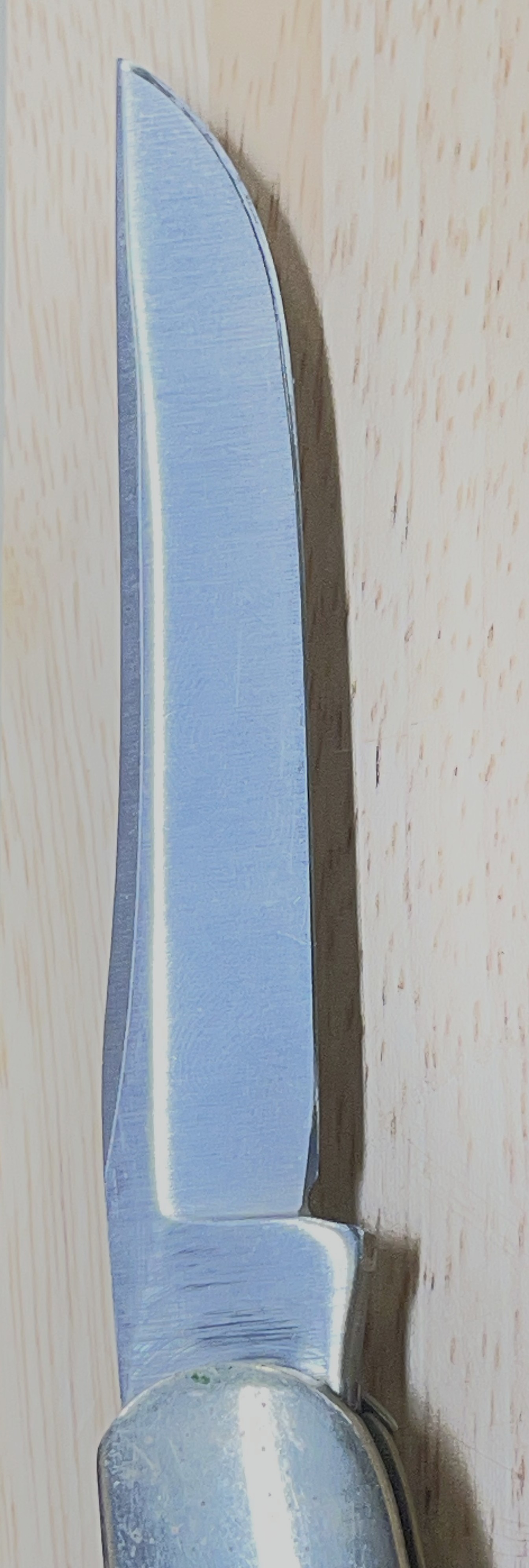 Closeup Right jpg.jpg