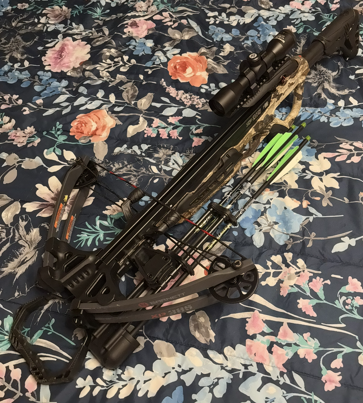 View recent photos 15.png