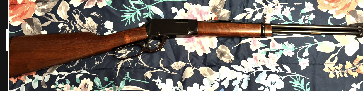 View recent photos 16.png