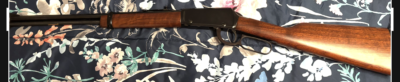 View recent photos 17.png