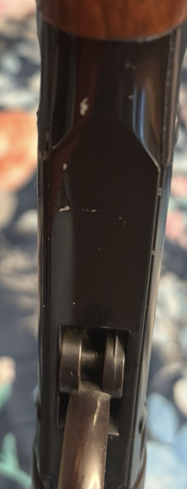 View recent photos 19.png