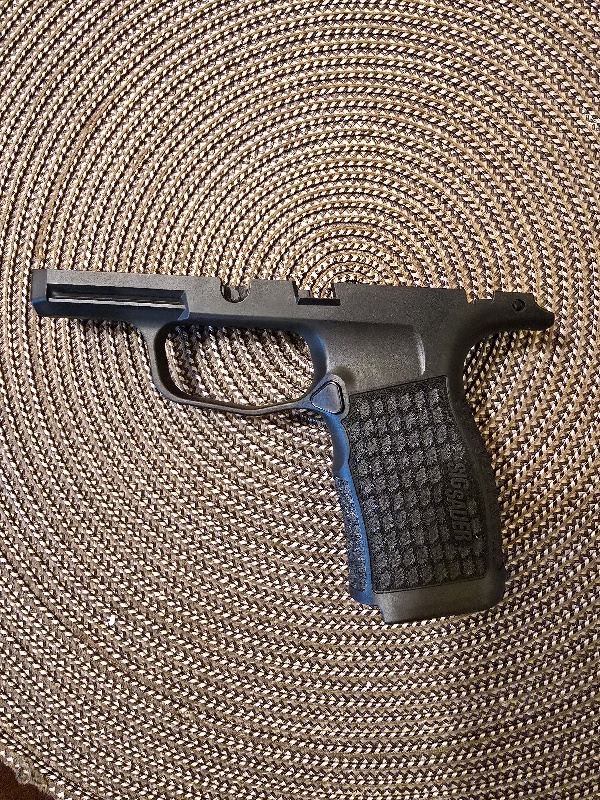 SIG Grip 2A.jpg