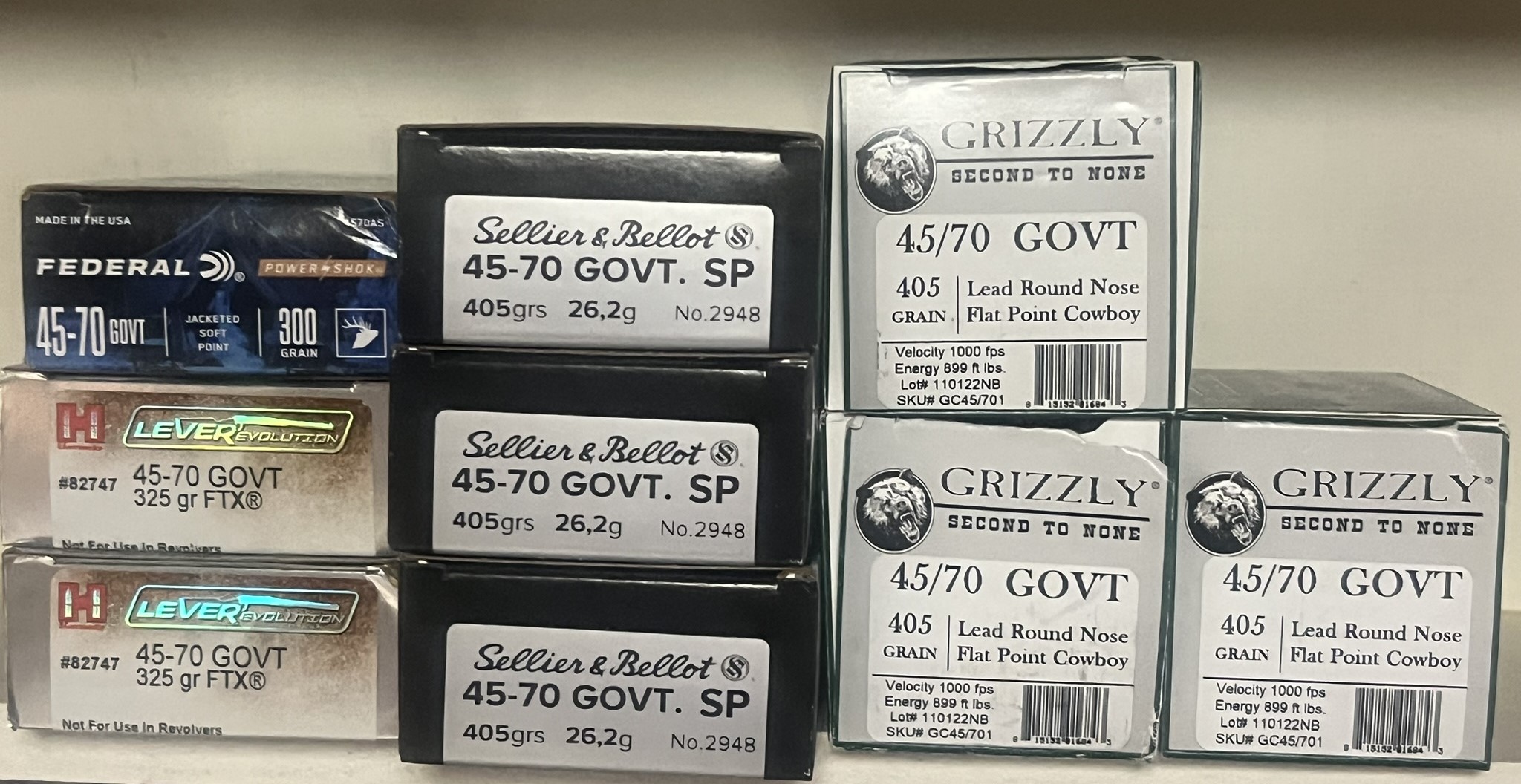 .45-70 Ammo.jpg
