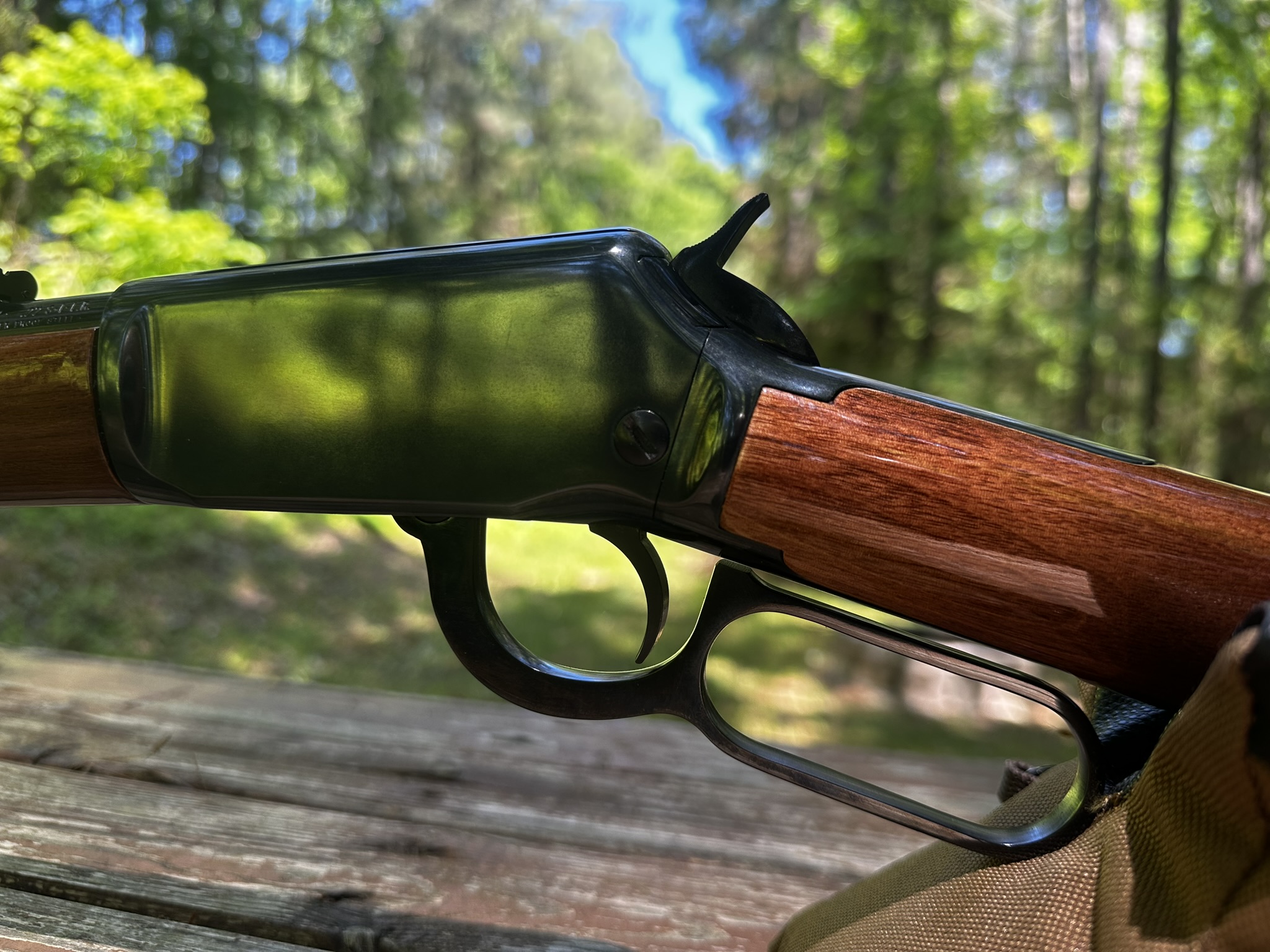 img11.jpg