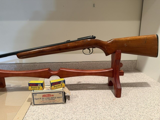 Remington Model 514 Routledge Bore IV.jpg