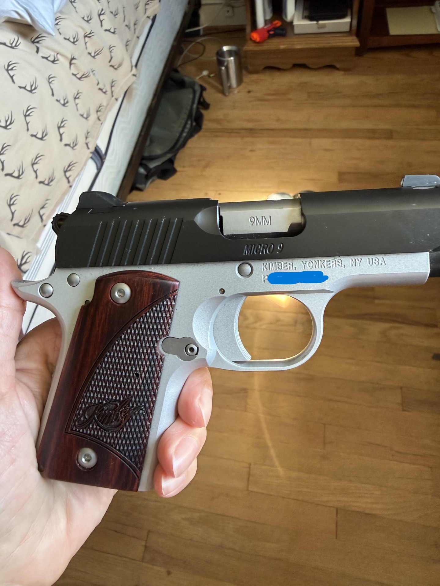 kimber.jpg