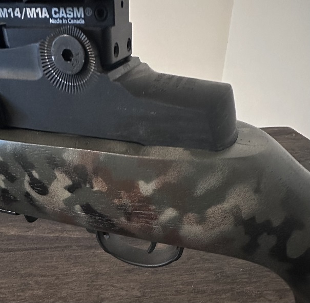 M1A SuperMatch (5).jpg