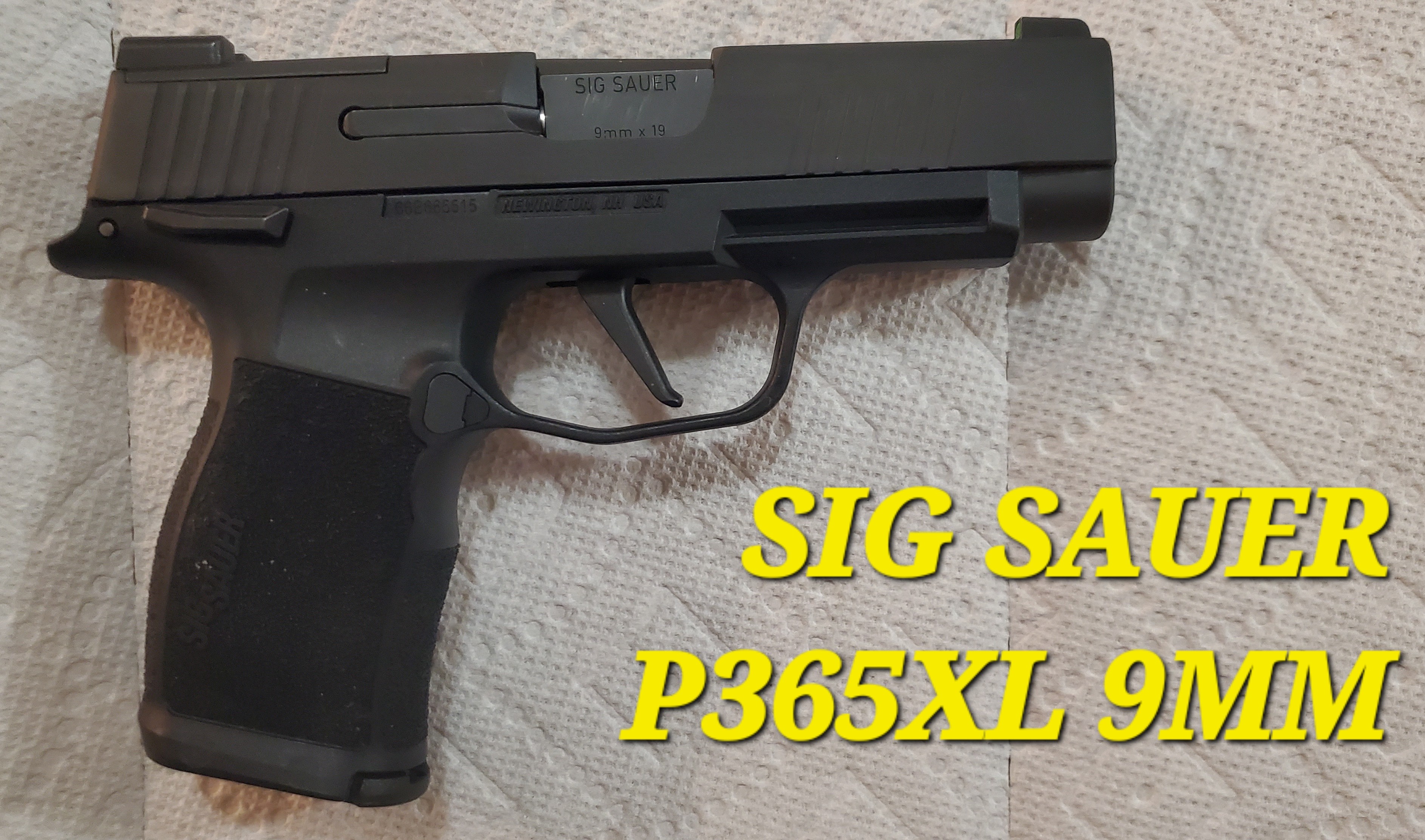 Sig P365XL    B.jpg