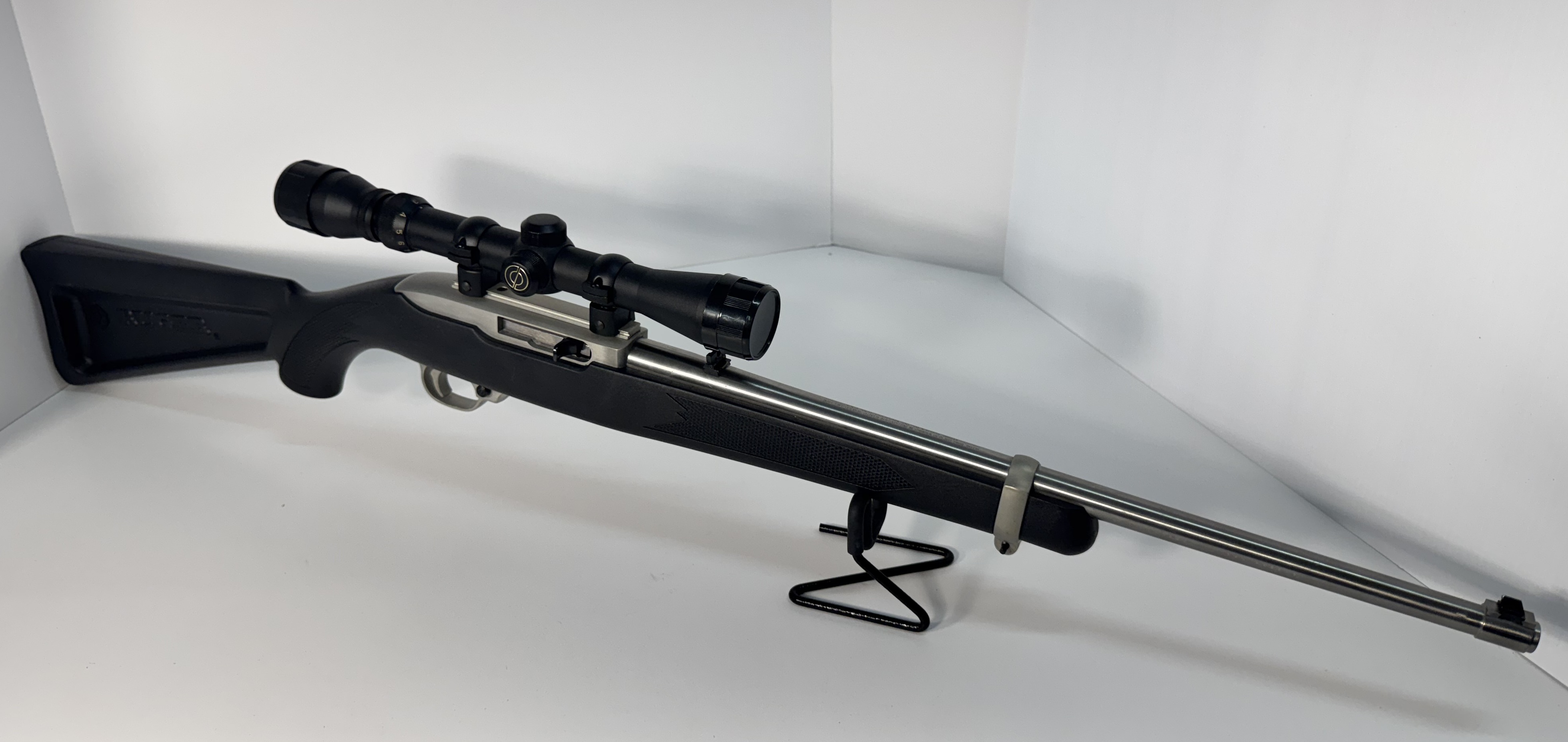 Ruger 10-22 2.jpg
